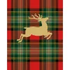 Personalization by Caspari Personalized Holiday Cards|Personalized Christmas Cards|Reindeer Tartan foil Personalized Christmas Cards
