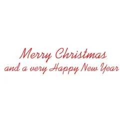 Caspari Christmas And Holiday Cards|Boxed Holiday Cards|Santa Carrying Tree Classic Boxed Christmas Cards - includes 15 cards & envelopes