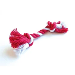 Caspari Christmas Crackers|Santa Hat Cat Pet Favors - includes 1 Pet Favors