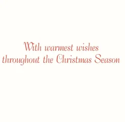 Caspari Christmas And Holiday Cards|Boxed Holiday Cards|Seaside Wreath Large Boxed Christmas Cards - includes 15 cards & envelopes