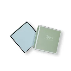 Caspari Coasters|Soft Aqua Lizard Coasters - 8 Per Package