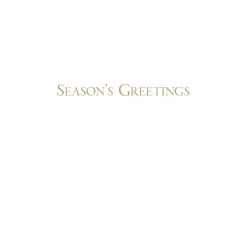 Caspari Christmas And Holiday Cards|Boxed Holiday Cards|Spring Snow Over Central Park Large Boxed Christmas Cards - includes 15 cards & envelopes