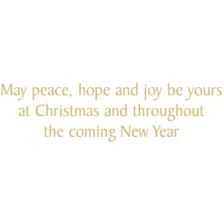 Caspari Christmas And Holiday Cards|Boxed Holiday Cards|The Holy Family And Three Kings Large Boxed Christmas Cards - includes 15 Boxed Christmas Cards