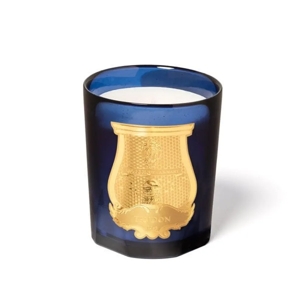Trudon Home Fragrance & Candles|Classic Scented Candle - Salta