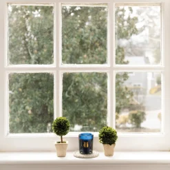 Trudon Home Fragrance & Candles|Petite Scented Candle - Salta