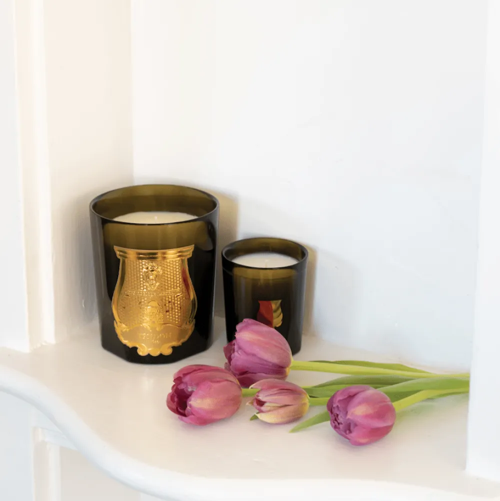 Trudon Christmas Decor|Home Fragrance & Candles|Petite Scented Candle - Cyrnos