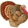 Caspari Thanksgiving|Paper Placemats|Turkey Paper Placemats - 12 Per Package