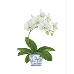 Caspari Gift Tags & Enclosure Cards|White Orchid Enclosure Cards & Envelopes - 4 Mini Cards & 4 Envelopes