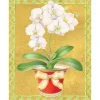 Caspari Christmas And Holiday Cards|Boxed Holiday Cards|White Orchid In Red Pot Petite Boxed Christmas Cards - includes 15 cards & envelopes