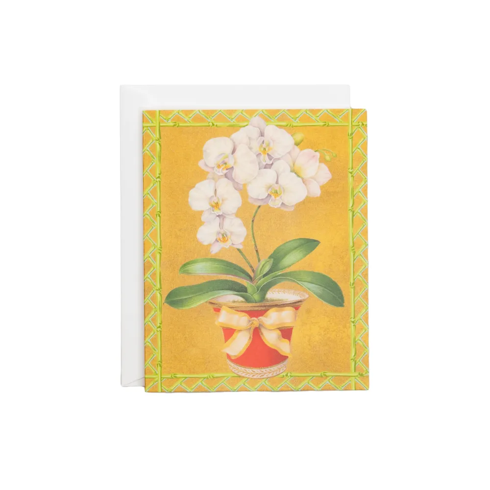 Caspari Christmas And Holiday Cards|Boxed Holiday Cards|White Orchid In Red Pot Petite Boxed Christmas Cards - includes 15 cards & envelopes