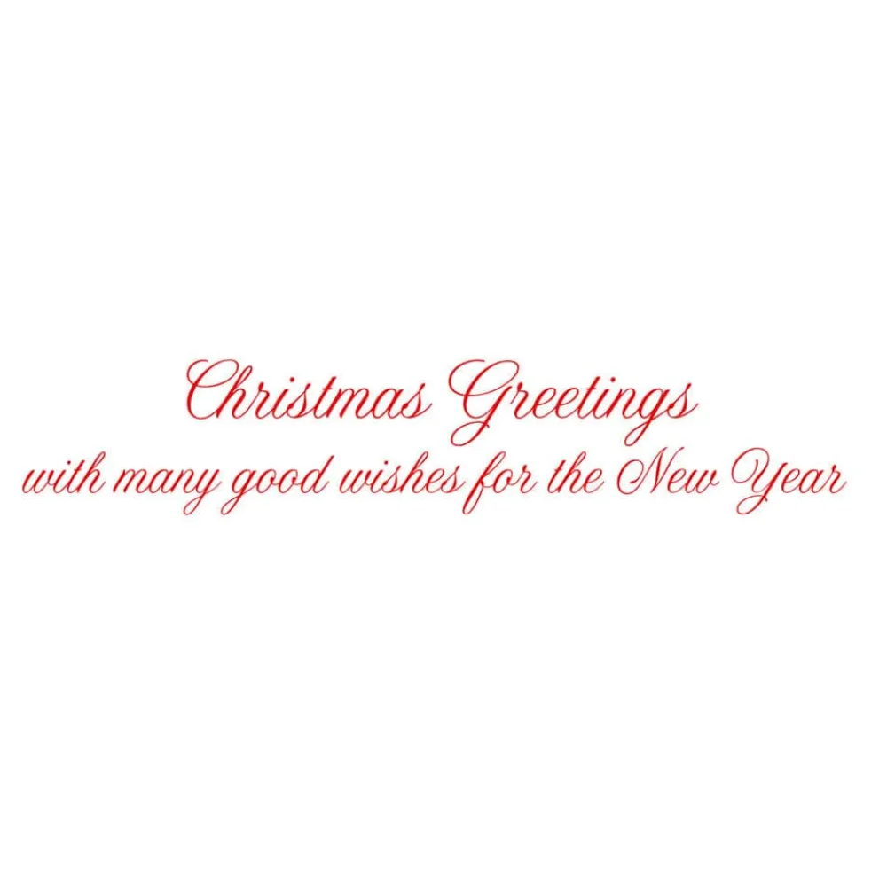 Caspari Christmas And Holiday Cards|Boxed Holiday Cards|White Pine And Red Bow Wreath Classic Boxed Christmas Cards - includes 15 cards & envelopes