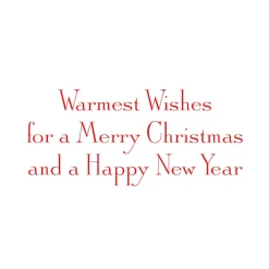 Caspari Christmas And Holiday Cards|Boxed Holiday Cards|Winter Birds And Berries Classic Boxed Christmas Cards - includes 15 cards & envelopes